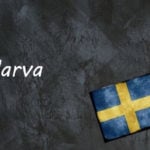 Swedish word of the day: slarva